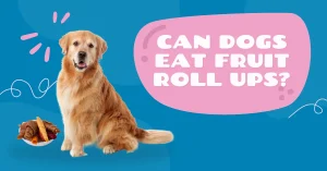 Can dogs eat fruit roll ups